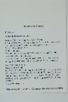 蒼山冷杉藏品圖，第2張