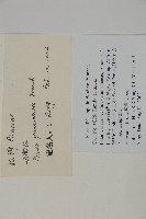 雲南松藏品圖，第2張