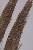 雲南松藏品圖，第5張