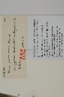 地盤松藏品圖，第2張