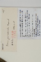 雲南松藏品圖，第2張