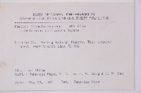 臺灣粗榧、台灣三尖杉藏品圖，第2張