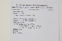 刺柏藏品圖，第2張