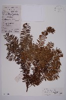 登錄號:G001044藏品圖，第1張