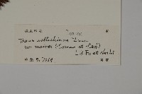 登錄號:G001044藏品圖，第2張