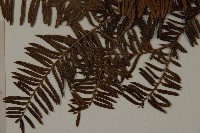 登錄號:G001044藏品圖，第5張