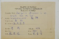 龍柏藏品圖，第2張