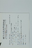 羅浮買麻藤藏品圖，第2張