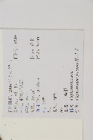 三尖杉藏品圖，第2張