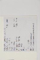 三尖杉藏品圖，第2張