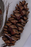 登錄號:G001059藏品圖，第5張