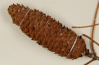 登錄號:G001062藏品圖，第3張