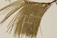 登錄號:G001065藏品圖，第3張