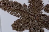 登錄號:G001066藏品圖，第4張