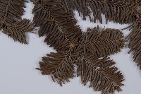 登錄號:G001066藏品圖，第5張