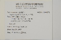 竹柏藏品圖，第2張