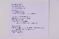 臺灣粗榧、台灣三尖杉藏品圖，第2張