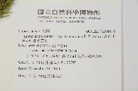 清水圓柏藏品圖，第2張