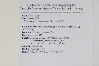 紅檜藏品圖，第2張