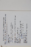 臺灣鐵杉藏品圖，第2張