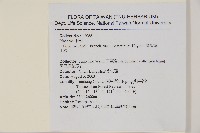 臺灣華山松藏品圖，第2張