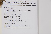 臺灣扁柏藏品圖，第2張