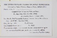 粗榧藏品圖，第2張