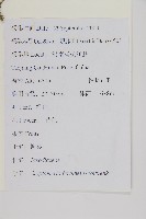 柳杉藏品圖，第2張