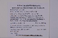 臺灣紅豆杉、紫杉、南方紅豆杉藏品圖，第2張