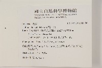 高山松藏品圖，第2張