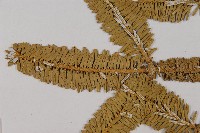 登錄號:G001111藏品圖，第3張