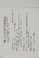 柳杉藏品圖，第2張