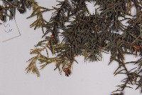 登錄號:G001119藏品圖，第5張