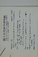 地盤松藏品圖，第2張