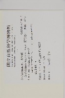 臺灣粗榧、台灣三尖杉藏品圖，第2張