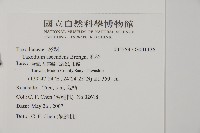 池杉藏品圖，第2張