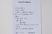 百日青藏品圖，第2張