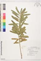 登錄號:G002255藏品圖，第1張