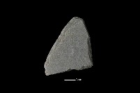 磨製石器藏品圖，第1張