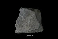 斧鋤形器藏品圖，第1張