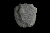 斧鋤形器藏品圖，第1張