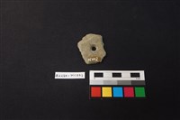 帶穿器藏品圖，第2張