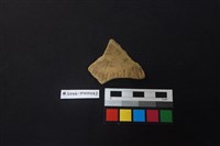 陶片藏品圖，第1張