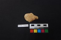 陶片藏品圖，第2張