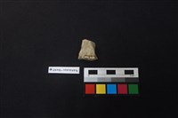 陶片藏品圖，第2張