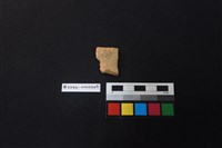 陶片藏品圖，第1張