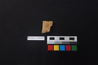 陶片藏品圖，第2張