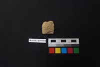 陶片藏品圖，第2張