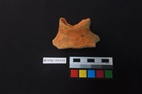 陶片藏品圖，第2張