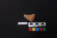 陶片藏品圖，第2張